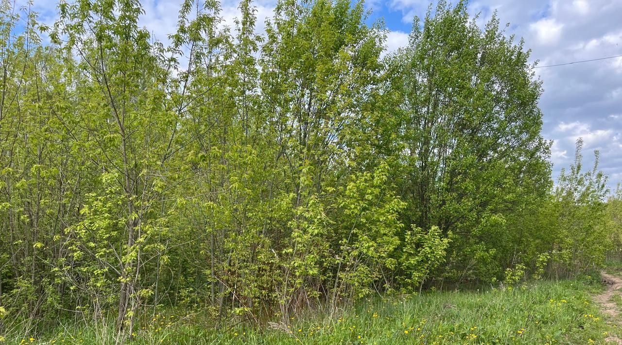 офис г Домодедово д Чулпаново Подольск фото 3