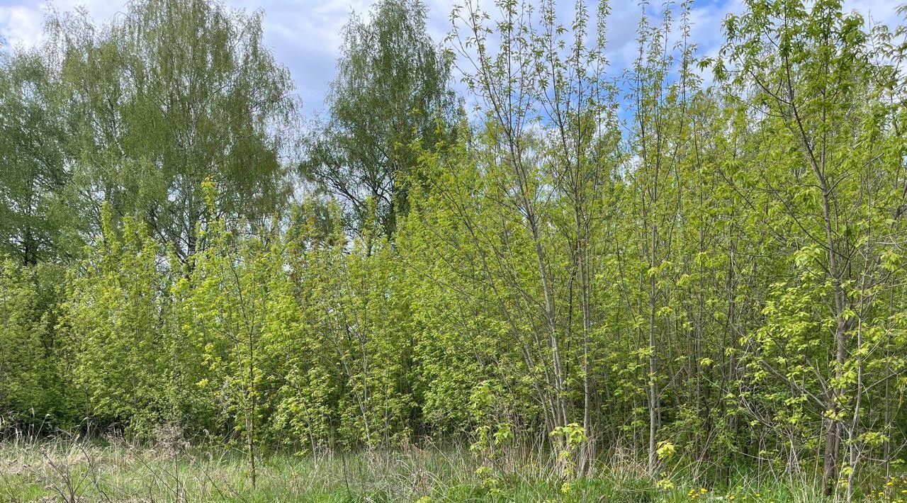 офис г Домодедово д Чулпаново Подольск фото 2