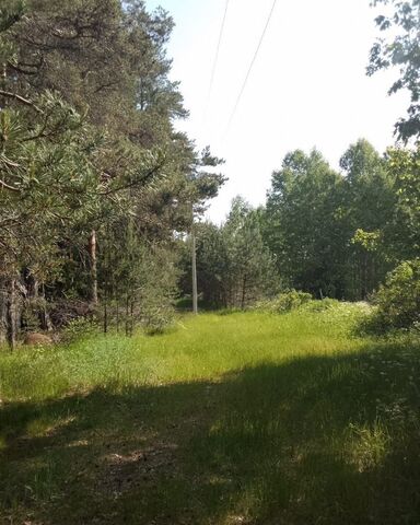 Трасса Скандинавия, 78 км, Гончаровское сельское поселение фото
