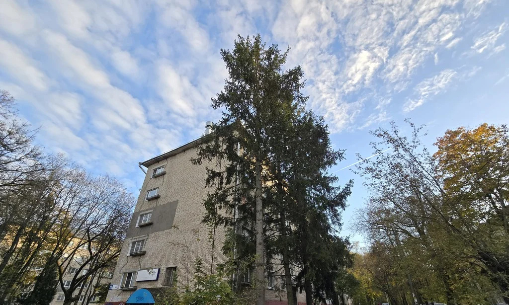 квартира г Обнинск ул Мира 17а фото 12