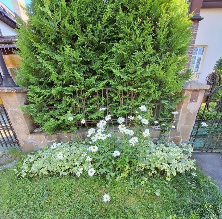 дом г Истра Усадьба Алексино кп, Нахабино, 28 фото 43