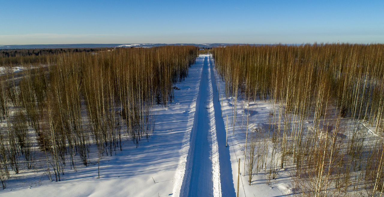 земля г Добрянка п Полазна д Залесная ул Главная фото 6