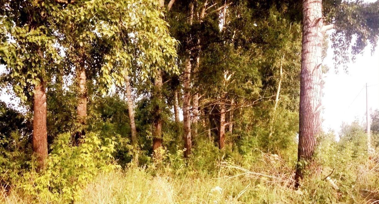 земля г Кемерово р-н Рудничный снт тер.Рудничное фото 5