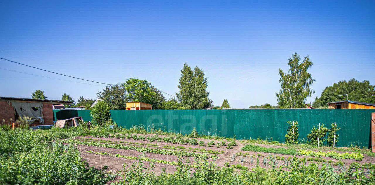земля г Бердск снт Ива ул 1-я фото 12