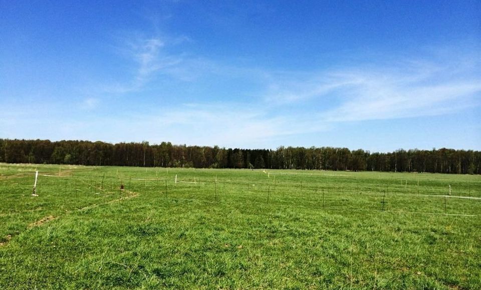 земля г Тула р-н Центральный 70Н-034 фото 1