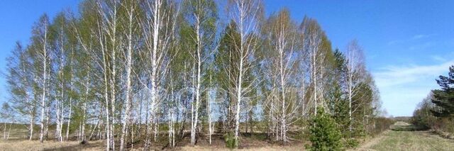 земля снт Царицыно фото