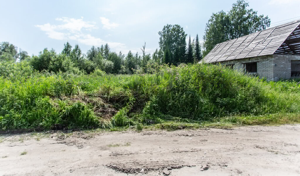 земля г Тобольск садоводческое товарищество Родничок-2, Южная улица фото 4