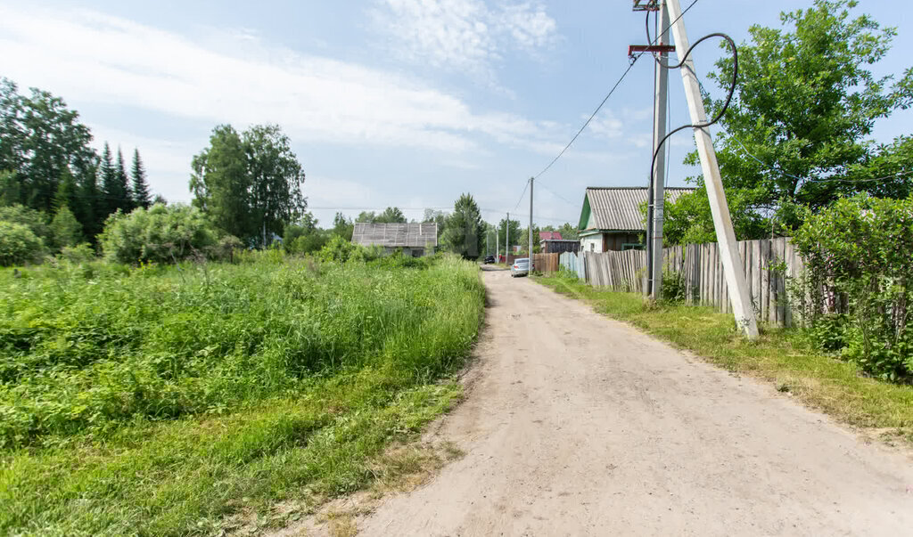 земля г Тобольск садоводческое товарищество Родничок-2, Южная улица фото 4