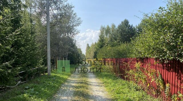 Тула городской округ фото