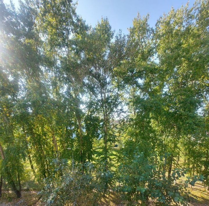 комната г Северодвинск ул Георгия Седова 17 фото 4