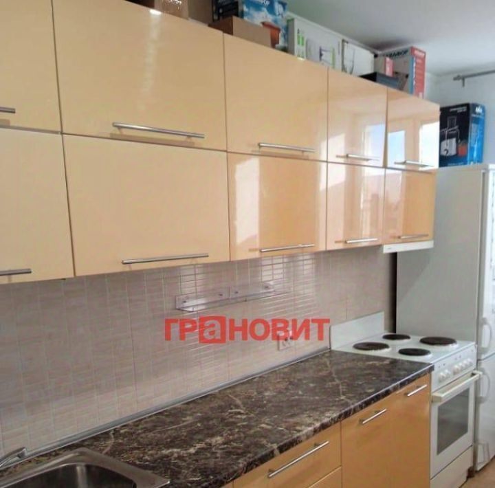 квартира г Новосибирск ул Титова 1 Площадь Маркса фото 4