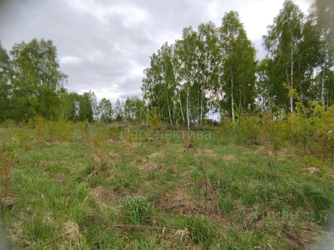 земля г Воскресенск ул Новая 41 городской округ Воскресенск, Белоозёрский фото 1