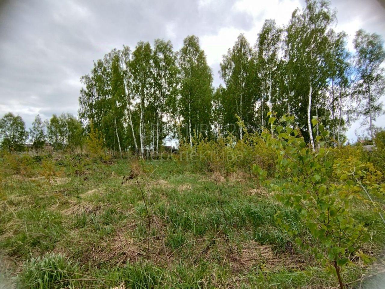 земля г Воскресенск ул Новая 41 городской округ Воскресенск, Белоозёрский фото 4