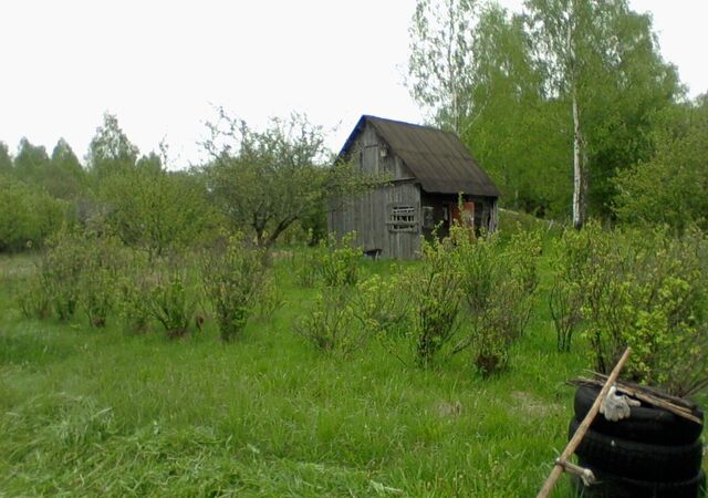 земля тер садоводческое некоммерческое товарищество СГИФК Щеченки-2 фото