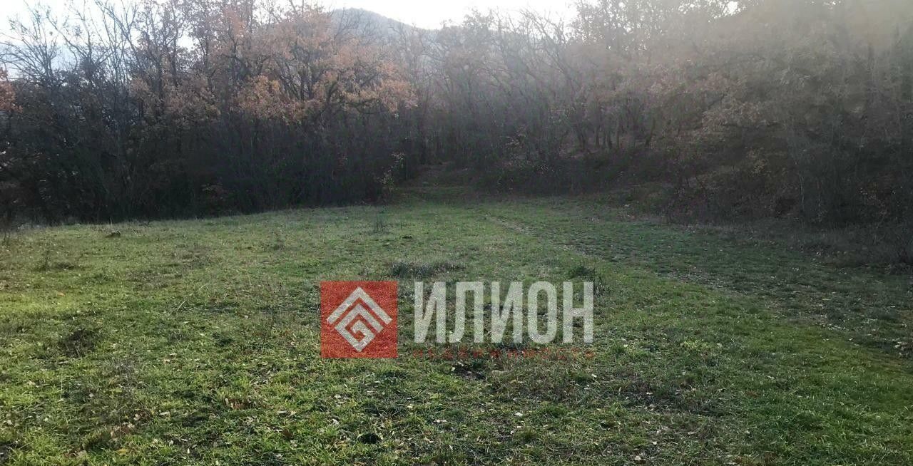 земля г Судак с Лесное ул Вишневая фото 3