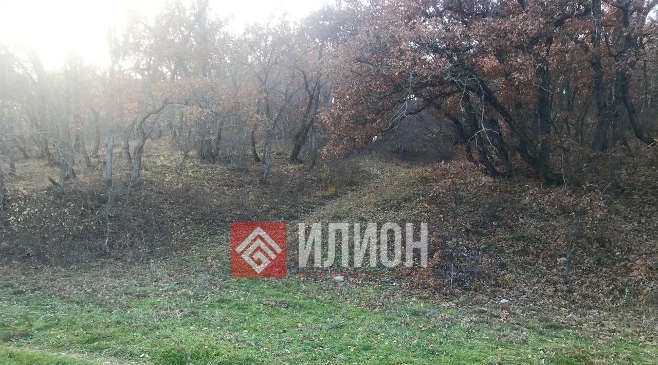 земля г Судак с Лесное ул Вишневая фото 4