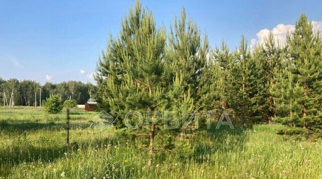 р-н Центральный ул Вишневая СОСН Изыскатель тер. фото