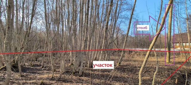 д Пабережье ул Энтузиастов Демянск фото