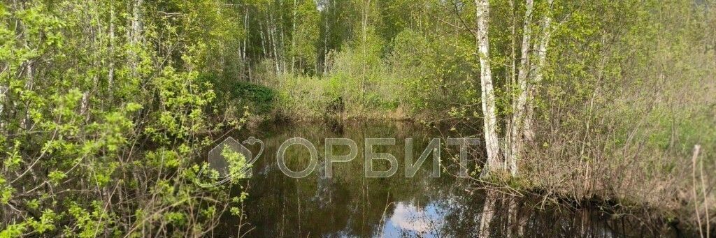 земля г Тобольск снт Фортуна ул Зелёная садоводческое товарищество фото 2