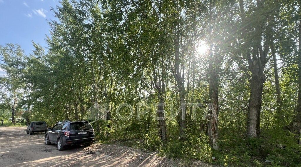 земля г Тюмень р-н Калининский снт Звенящие кедры Тюмени ДНП фото 3