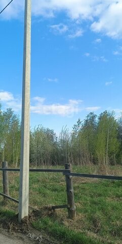 снт Левобережье фото