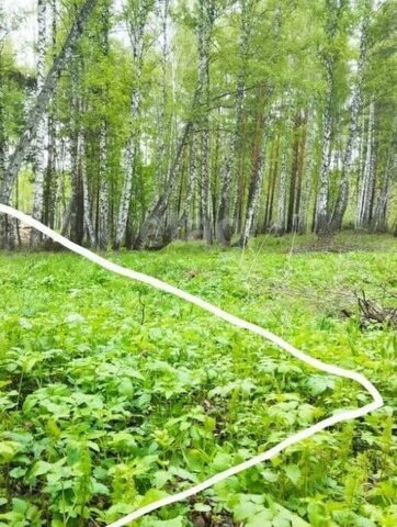 земля мкр Крутоярский фото