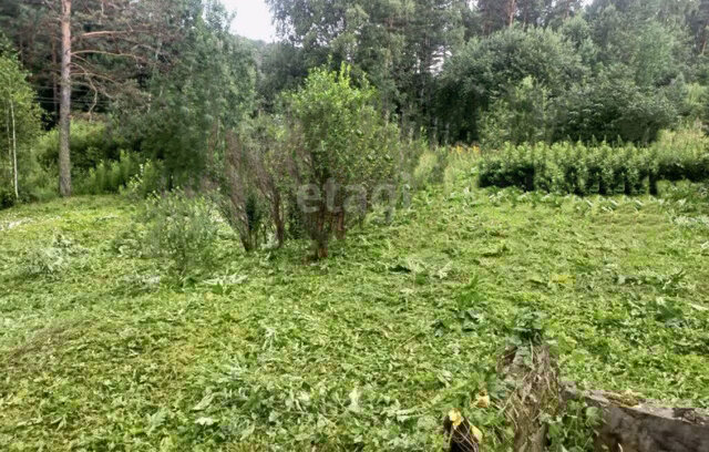 Богашёвское сельское поселение, садоводческое некоммерческое товарищество Агрохимик фото