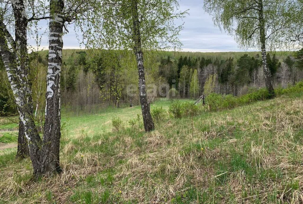 земля г Томск п Росинка ул Земляничная фото 4