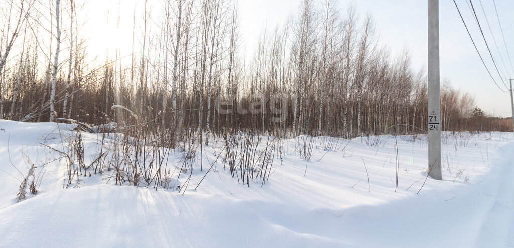 земля г Томск пер Заботы фото 2