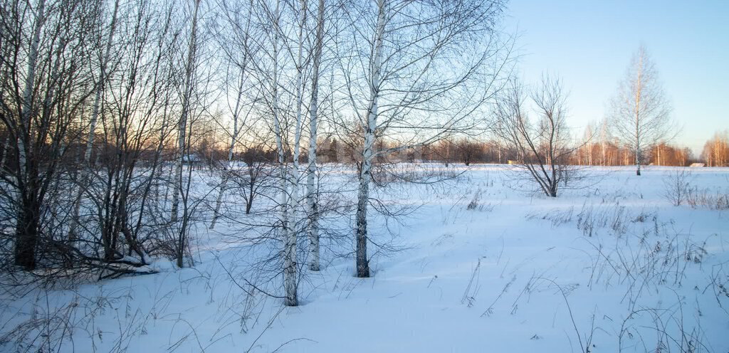 земля г Томск мкр Каменка ул Тихая фото 2