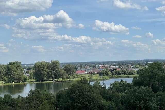 д Низино ул Летчика Борисова 9 фото