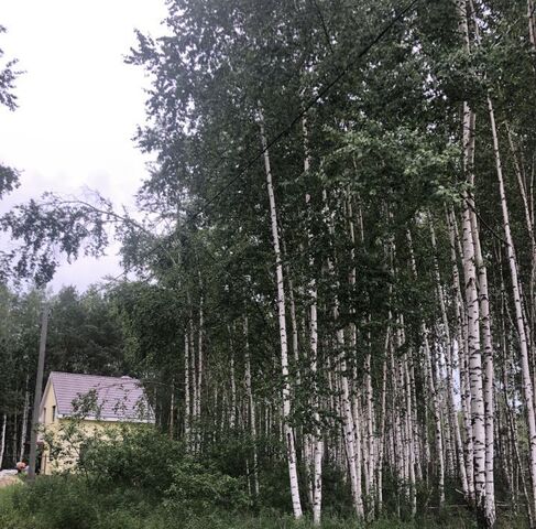 р-н Рязанский с Заборье Заборьевское с/пос, садоводческое товарищество, ул. 8-я Линия фото