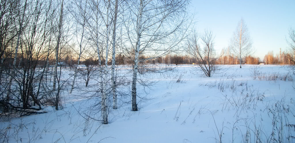земля г Томск мкр Каменка ул Тихая фото 5