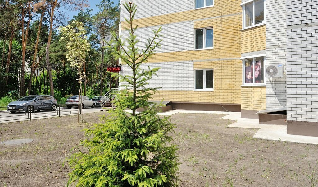 квартира г Воронеж ул Переверткина 1/1 фото 21