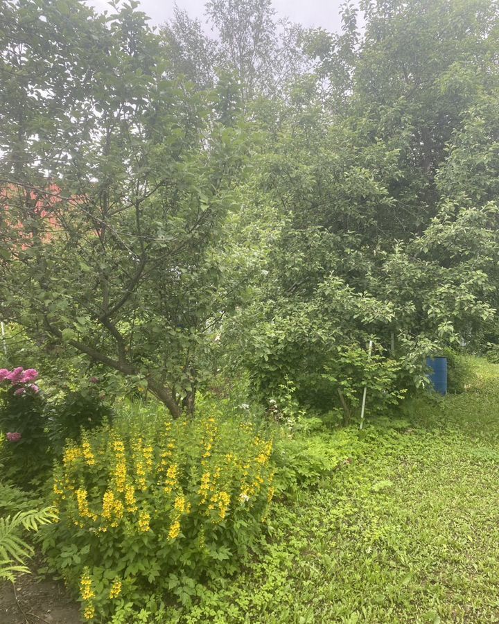 дом городской округ Пушкинский г Красноармейск снт тер.Трудпоселок 33 км, Ярославское шоссе фото 25