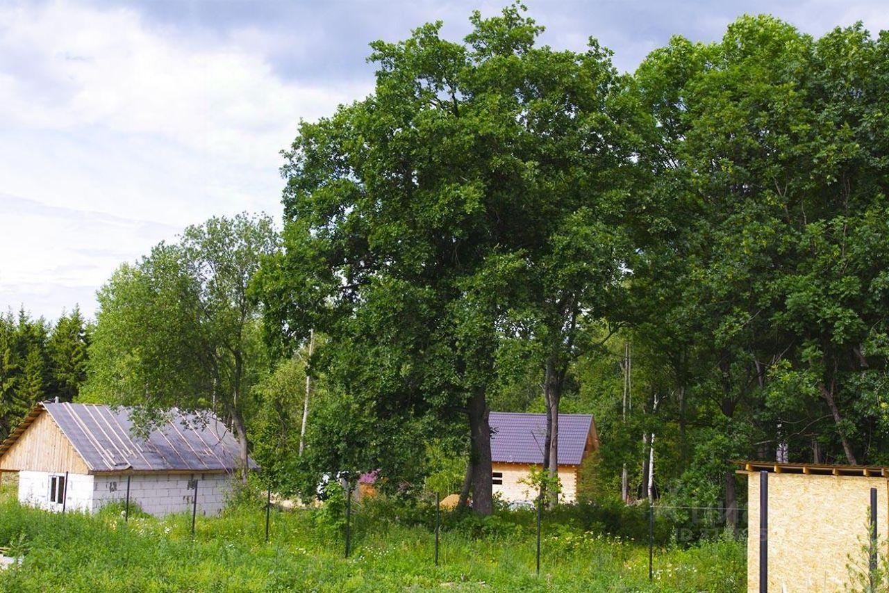 земля г Люберцы ул Зеленая 681 Островцы фото 3
