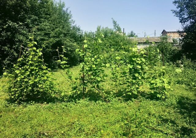 садоводческое товарищество Льнокомбинат-2 фото