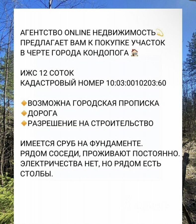 земля р-н Кондопожский г Кондопога ул Летняя Кондопожское городское поселение фото 7
