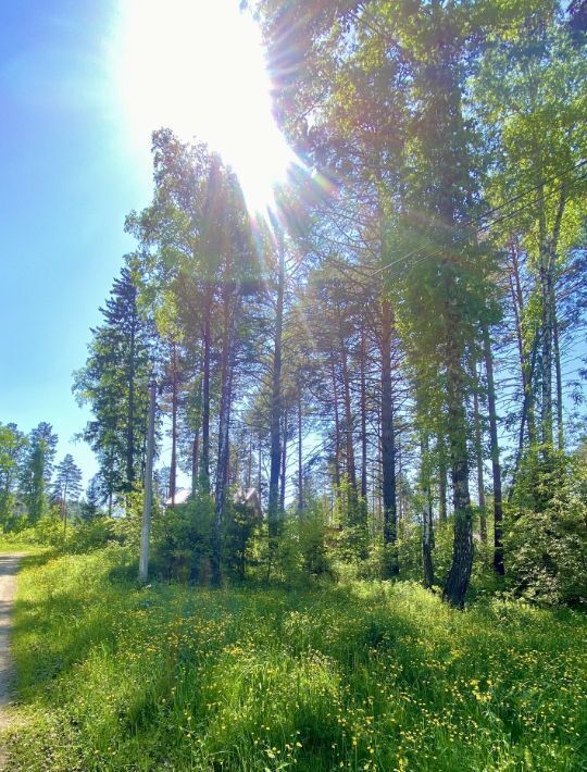земля г Дивногорск с Овсянка фото 5