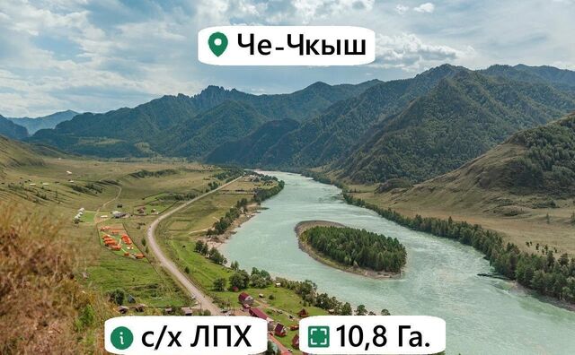 земля с Чемал Онгудай фото