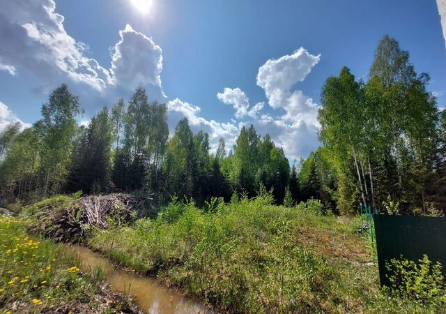 49 км, Гатчинский муниципальный округ, СНТ Энтузиаст, Киевское шоссе фото