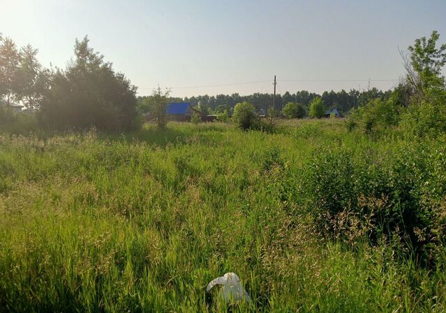 снт Новогорское 5-я ул., 41, Новоалтайск фото