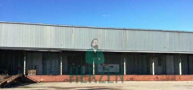 д Наугольное Сергиево-Посадский городской округ фото
