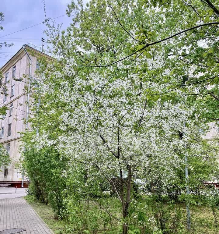 квартира г Москва метро Полежаевская ул Куусинена 7/1 фото 12