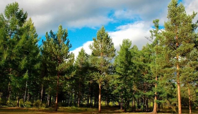 Новолуговской сельсовет, СНТ Инские Плёсы фото