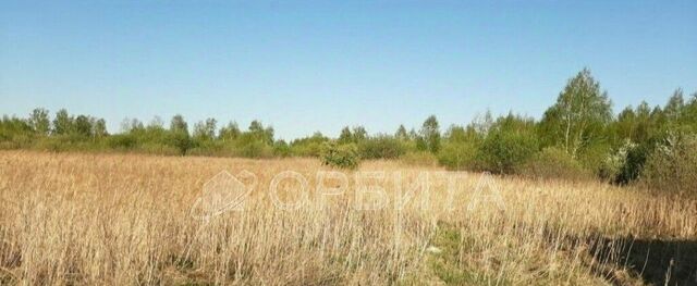 р-н Центральный снт Поле чудес-2 ул Цветочная фото