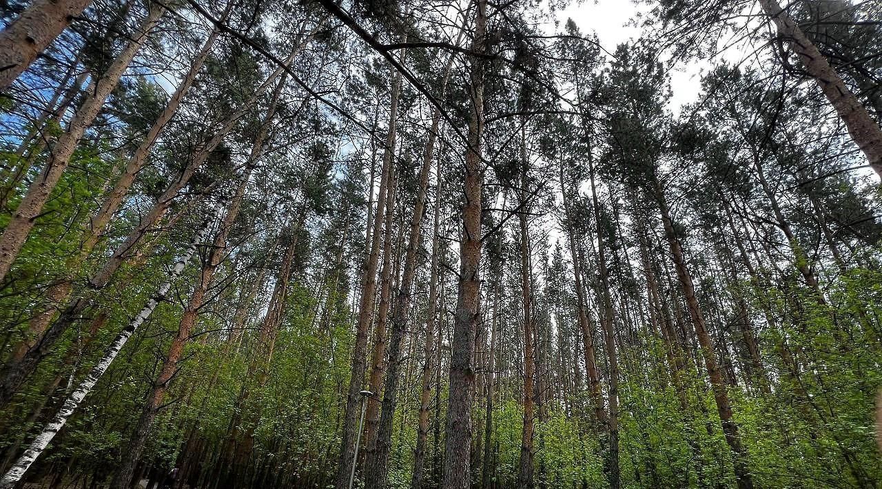 квартира г Красноярск р-н Октябрьский ул Академгородок 21 фото 25