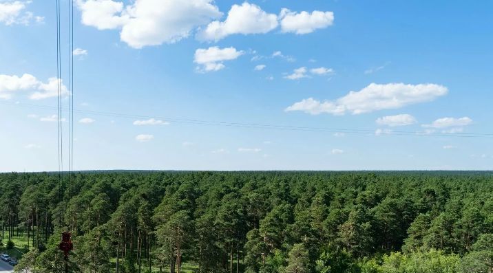 квартира г Новосибирск метро Площадь Гарина-Михайловского ул Сухарная 96/3 фото 14