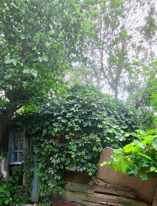 квартира г Новочеркасск ул Грекова фото 1