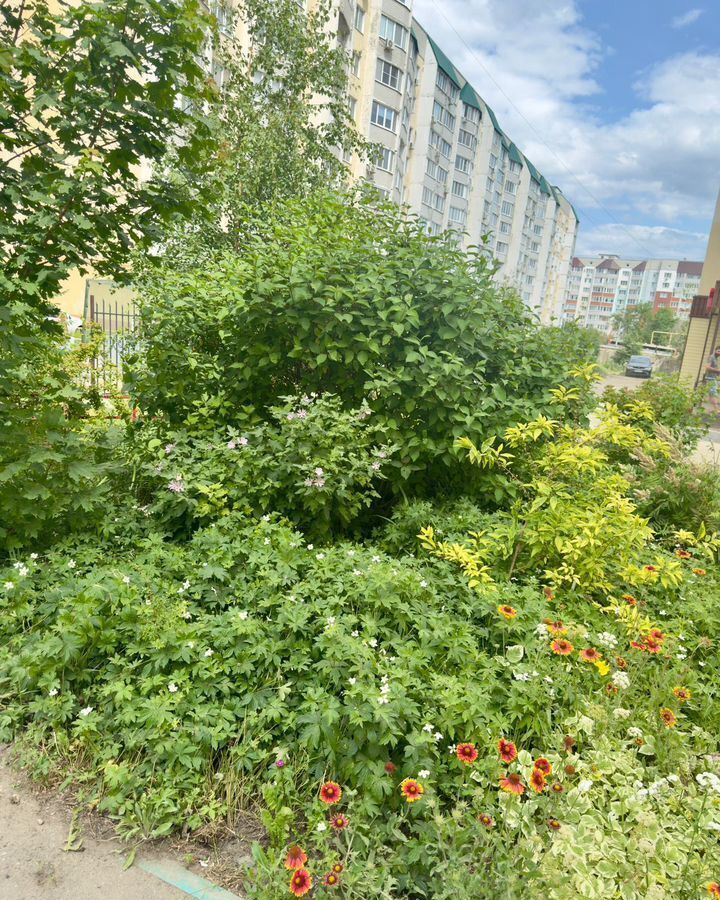 квартира г Саратов р-н Ленинский 2-й пр. имени Ф. А. Блинова, 8А фото 5